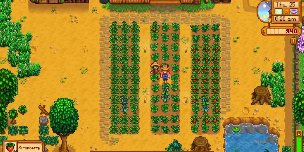 Stardew Valley